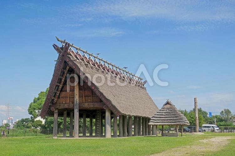 🏞️ 이케가미 소네 사적공원(이케가미소네시세키코엔) 이미지 3